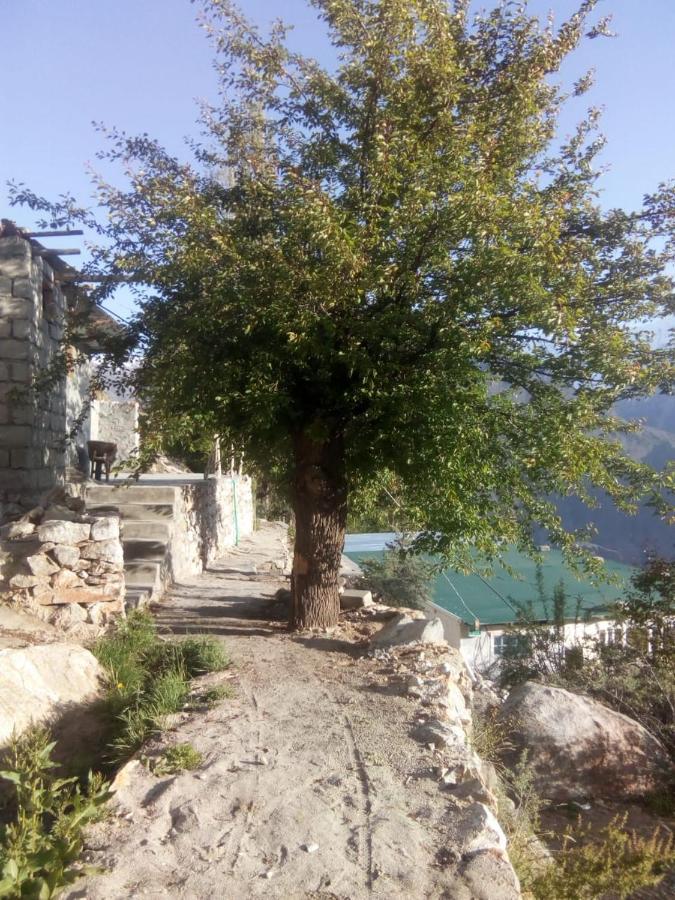 Karimabad  Venus Mountain Resort, Hunza מראה חיצוני תמונה